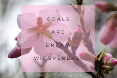Wallflower Dreams